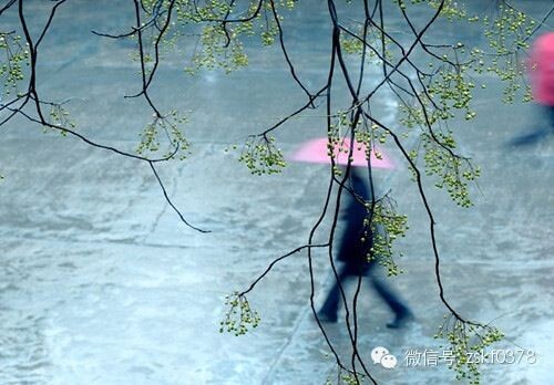 連日秋雨，警惕這些疾病乘虛而入！