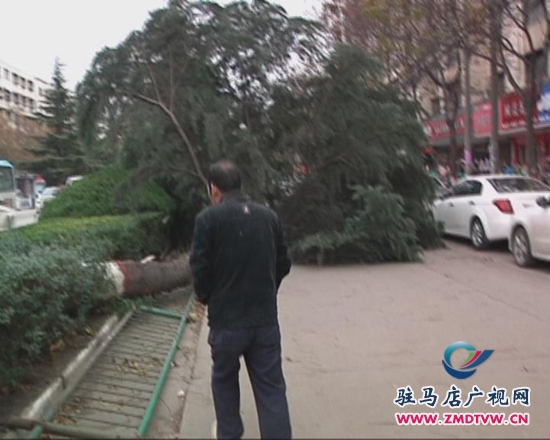 暴風截圖2014121731847.jpg