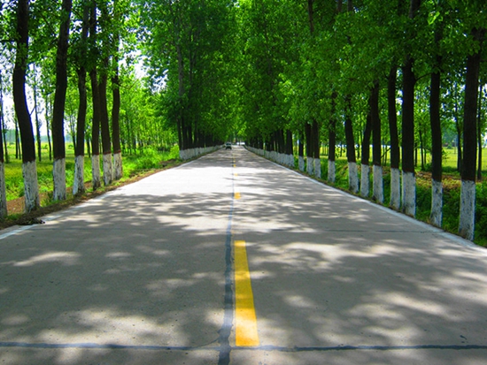正陽公路交通部門為“美麗鄉(xiāng)村”建設助力
