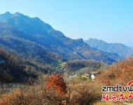 爬山：嵖岈山溫泉小鎮(zhèn)度假酒店,是我市首家五星級(jí)度假酒店,各項(xiàng)硬件設(shè)施齊全,服務(wù)周到入住酒店即送溫泉門票.嵖岈山溫泉小鎮(zhèn)旁邊有座海拔不到200米的花山, ,適合喜歡休閑健身的游客登高游玩。