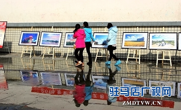 IMG_0067_副本.jpg