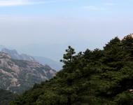 這山只看那山高，風(fēng)景這邊獨(dú)好（攝影/水墨丹青）