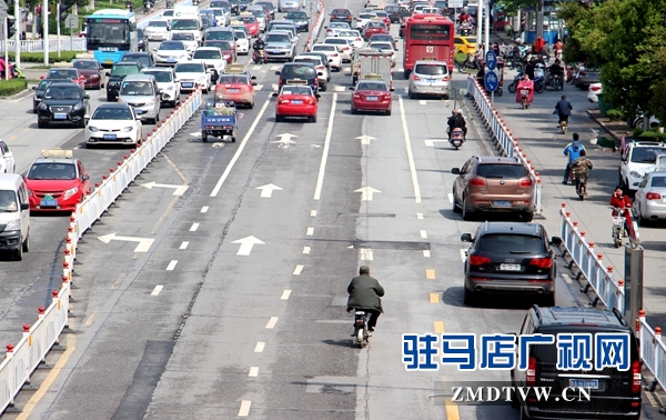 &ldquo;愜意&rdquo;穿行在機(jī)動(dòng)車道上.JPG