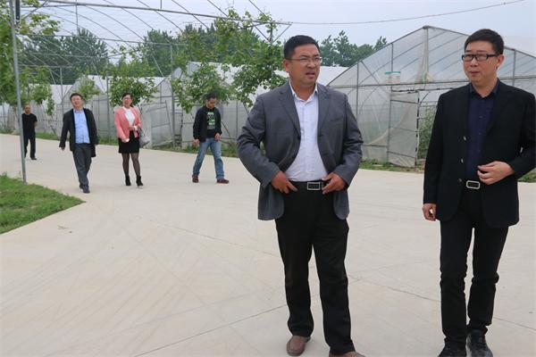 駐馬店市企業(yè)家協(xié)會會長王海周到常務理事單位益農豐達莊園指導工作