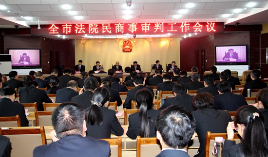 駐馬店市中院召開(kāi)全市法院民商事審判工作電視電話會(huì)議