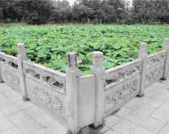 陸上百花競(jìng)芬芳，碧水潭泮默默香。
