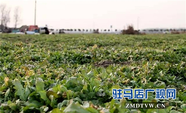 0c65ed6_副本.jpg
