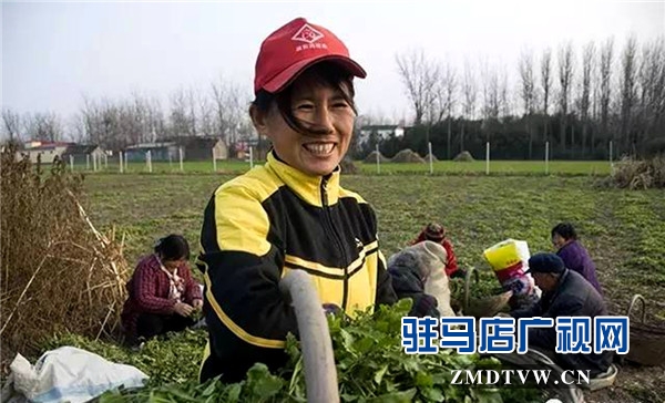 953b8ce_副本.jpg