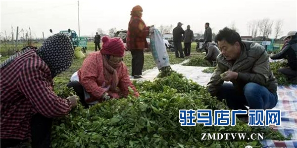 0166b8f_副本.jpg