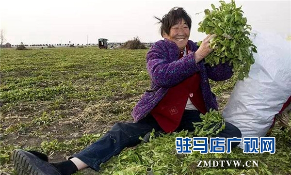 3195579_副本.jpg