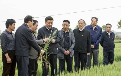從小崗村到“小崗牌”――習(xí)近平考察后有啥變化？