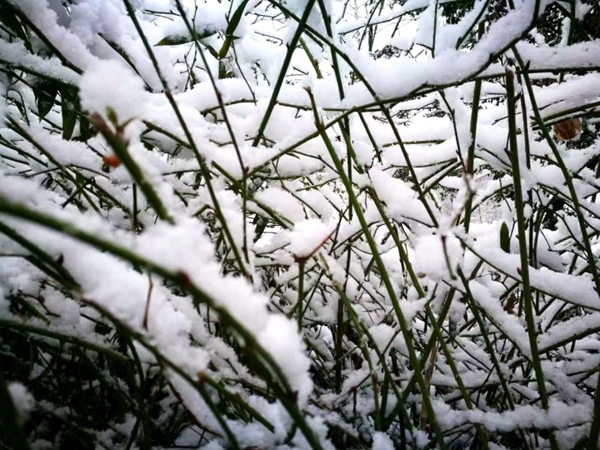 我市迎來2017年第二場(chǎng)雪