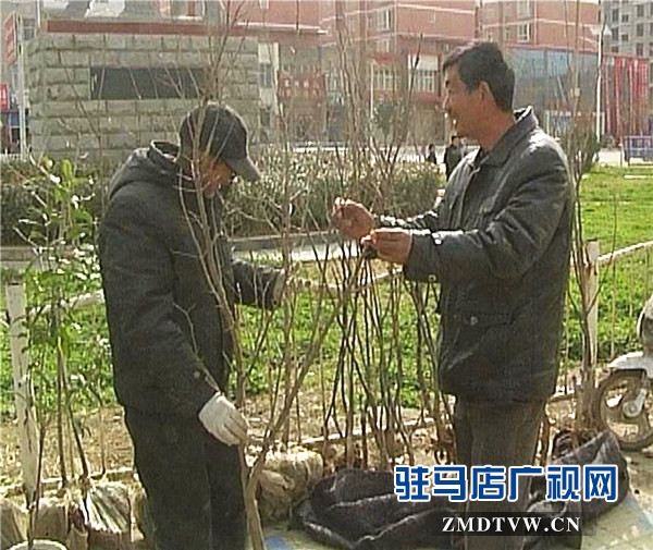暴風截圖201722189840601_副本.jpg