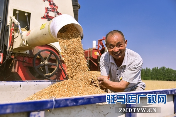 老農(nóng)捧起黃甸甸的麥子臉上掛滿了笑容 - 復件(1).jpg