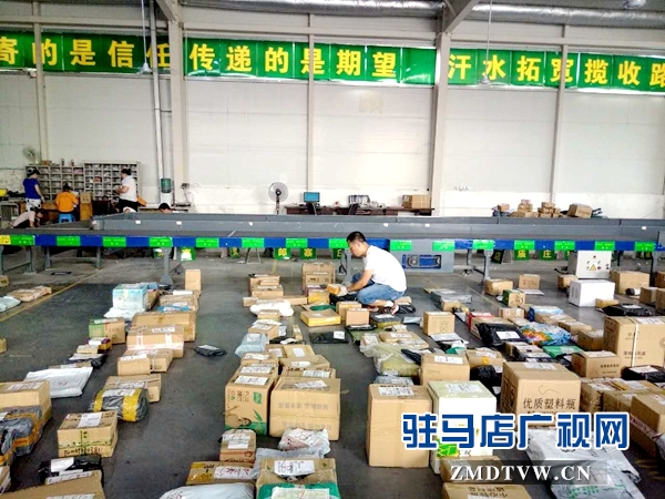 悶熱的郵件處理間不會影響分揀轉(zhuǎn)運人員的工作態(tài)度，看一排排擺放整齊的郵件，是我們認(rèn)真工作的最好呈現(xiàn).jpg