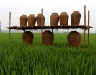 近年來，留莊鎮(zhèn)以發(fā)展現(xiàn)代生態(tài)農(nóng)業(yè)和鄉(xiāng)村旅游為抓手，以留莊鎮(zhèn)觀光稻田公園、富硒生態(tài)大米等農(nóng)產(chǎn)品為突破，致力于打造一個(gè)以生態(tài)旅游為主的觀光農(nóng)業(yè)，探索走出一條傳統(tǒng)平原農(nóng)業(yè)鄉(xiāng)鎮(zhèn)發(fā)展特色農(nóng)業(yè)的新路子。以產(chǎn)業(yè)扶貧、精準(zhǔn)扶貧帶動留莊經(jīng)濟(jì)發(fā)展，為老百姓找到一條脫貧致富的新出路。（攝影記者/武帥）