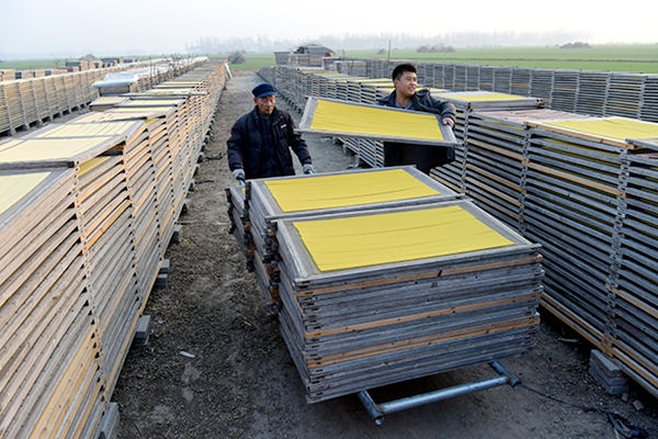 脫貧致富好運來