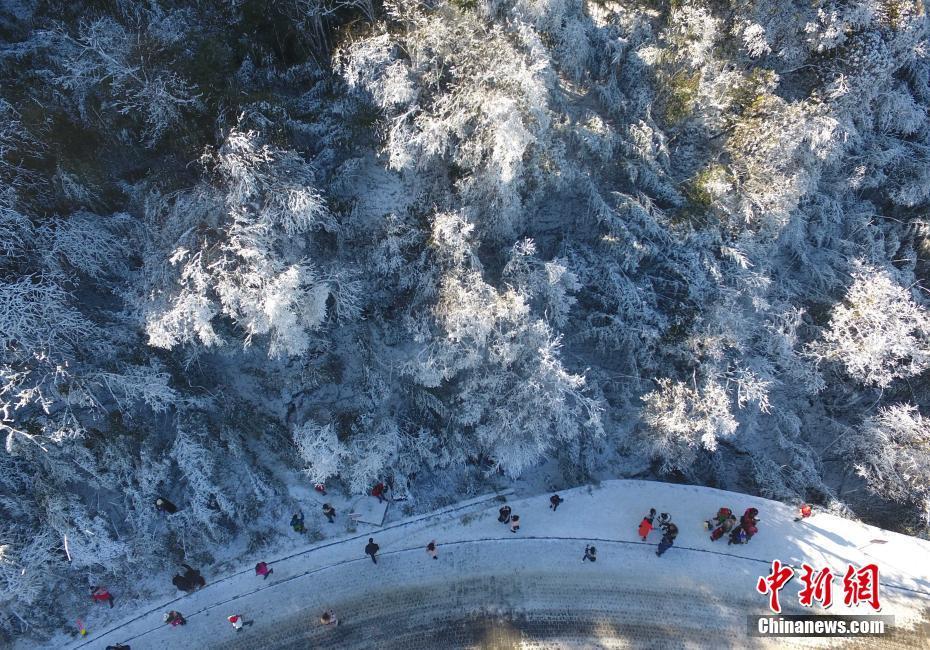 12月20日，重慶金佛山銀裝素裹雪景美如畫，吸引了不少游客前來觀賞。當(dāng)日，第19屆金佛山冰雪節(jié)正式開幕。 陳超 攝