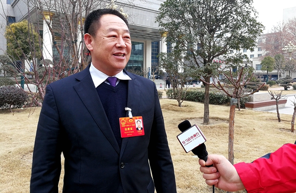 陳潤兒所做政府工作報(bào)告引起駐馬店代表團(tuán)強(qiáng)烈反響