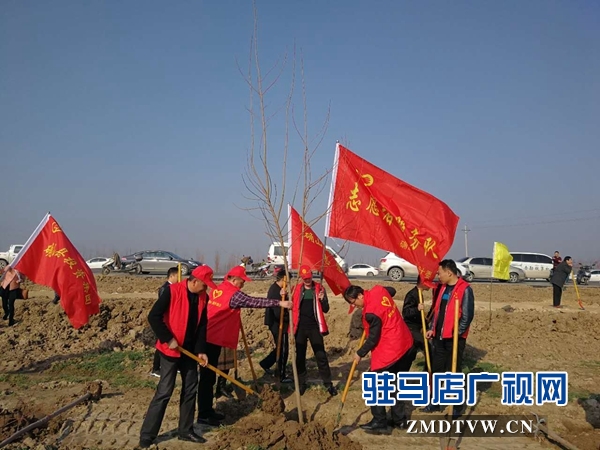 1、確山縣衛(wèi)計委在蓮花社區(qū)開展植樹造林活動.jpg