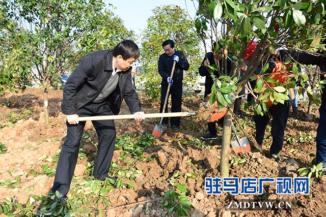 02縣委副書記、縣長李衛(wèi)明參加植樹活動.JPG