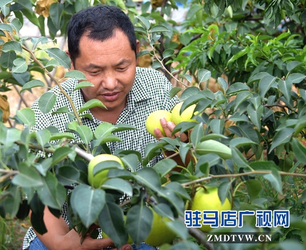 正陽(yáng)永興鎮(zhèn)李軍：昔日“貧困戶(hù)”今日“扶貧戶(hù)”
