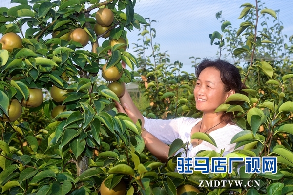 正陽(yáng)永興鎮(zhèn)李軍：昔日“貧困戶(hù)”今日“扶貧戶(hù)”
