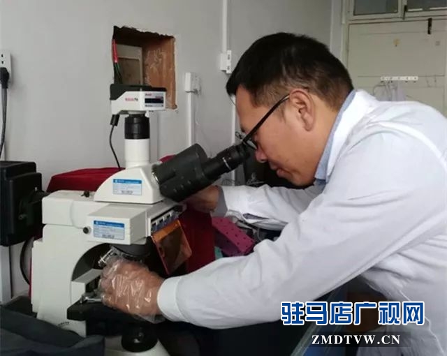  上蔡縣3人獲評“駐馬店好人”“新時(shí)代好少年”