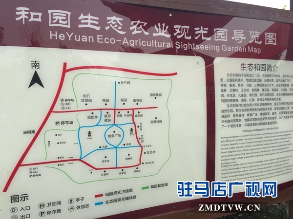泌陽(yáng)這個(gè)村子 迷倒一群群城里人