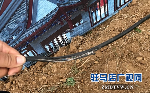  駐馬店一施工隊涉嫌野蠻施工造成廣播電視光纜中斷