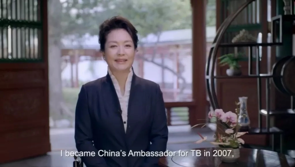 彭麗媛在聯(lián)合國大會上發(fā)表英文視頻講話，呼吁大家關(guān)注這件事！