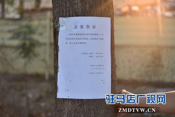 狗肉湯鍋店老板夫婦白天賣狗肉，晚上用弩和毒鏢盜狗