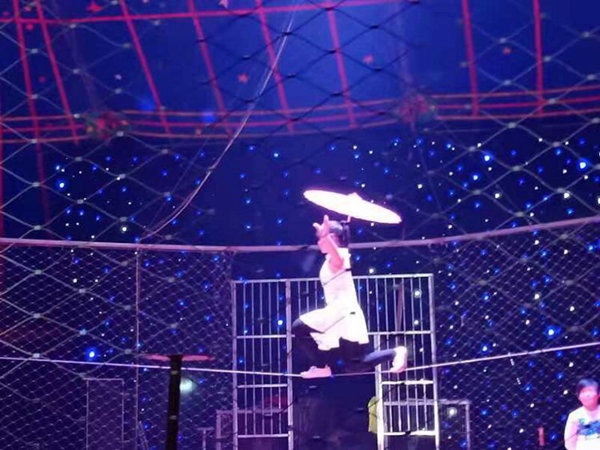 逛廟會！看馬戲！賞燈海！駐馬店老北京廟會吃喝玩樂全都有