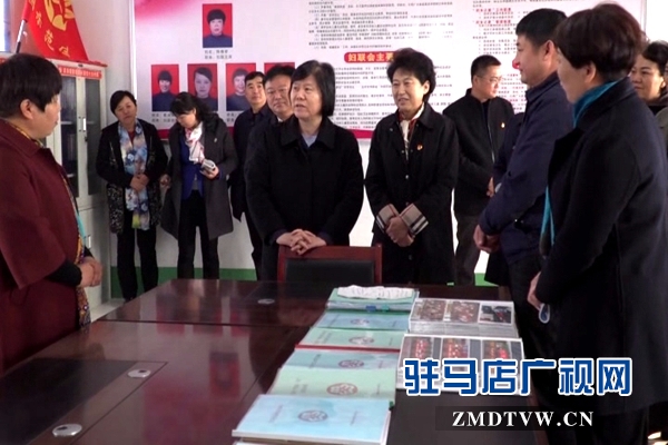全國人大副委員長沈躍躍到西平縣調(diào)研就巾幗建功、美麗庭院創(chuàng)建工作