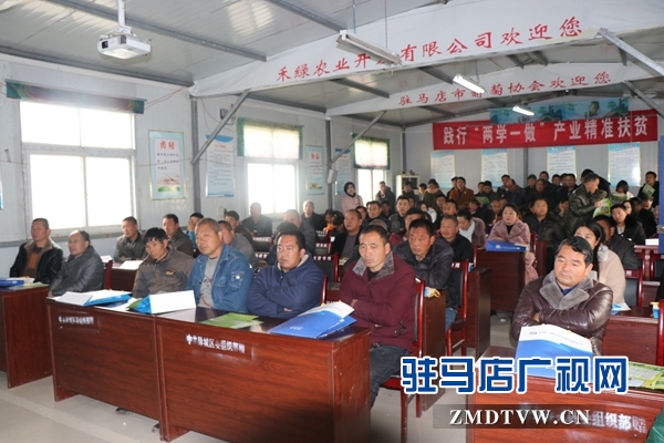 駐馬店市蔬菜種苗新技術培訓觀摩及蔬菜產(chǎn)業(yè)發(fā)展研討會召開