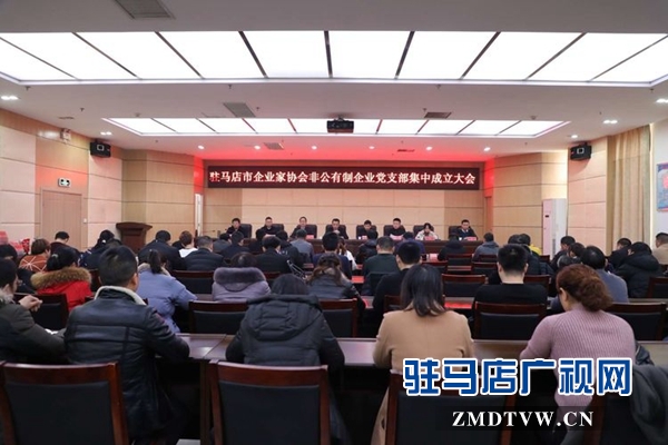 駐馬店企業(yè)家協會召開非公有制企業(yè)黨支部集中成立大會