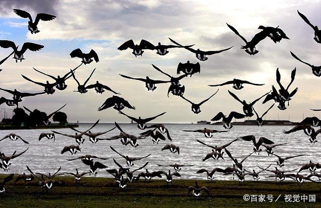 北大碩士畢業(yè)辭職送外賣，觸動(dòng)了社會(huì)的哪根神經(jīng)？