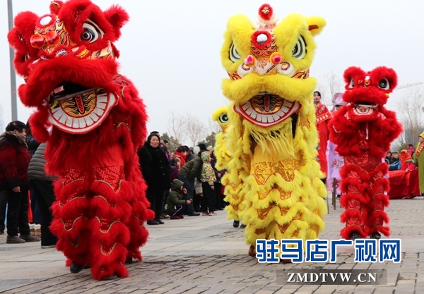 舞龍、耍獅、扭秧歌 駐馬店民間藝術(shù)展演吸引數(shù)千市民圍觀