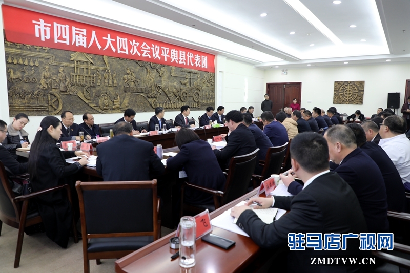 朱是西參加平輿代表團(tuán)的審議政府工作報(bào)告，聆聽(tīng)代表發(fā)言。