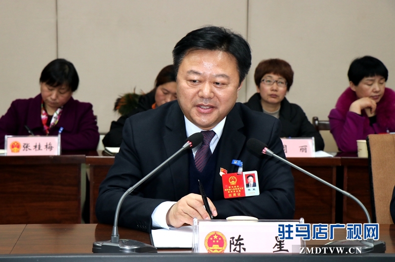 陳星參加上蔡代表團(tuán)的審議政府工作報(bào)告時(shí)發(fā)言。