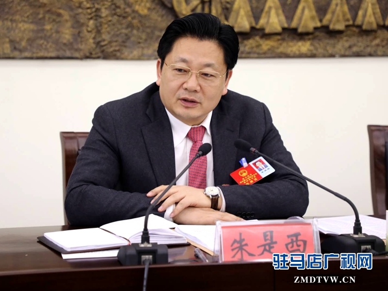 朱是西參加平輿代表團(tuán)的審議政府工作報(bào)告時(shí)發(fā)言。