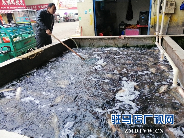  節(jié)后蔬菜市場“漲聲”一片水產品略跌
