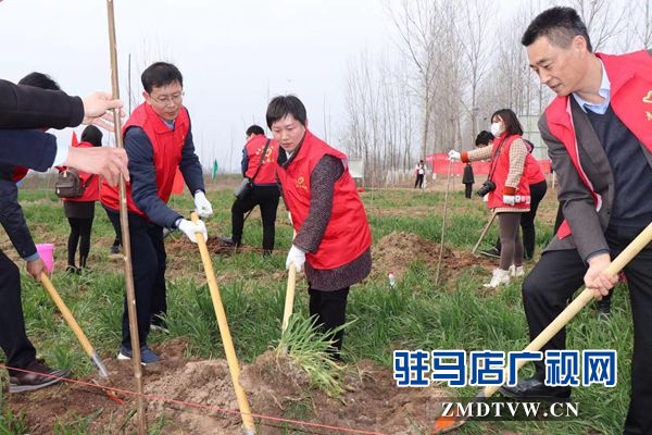 團市委開展“綠風(fēng)尚”春季義務(wù)植樹活動