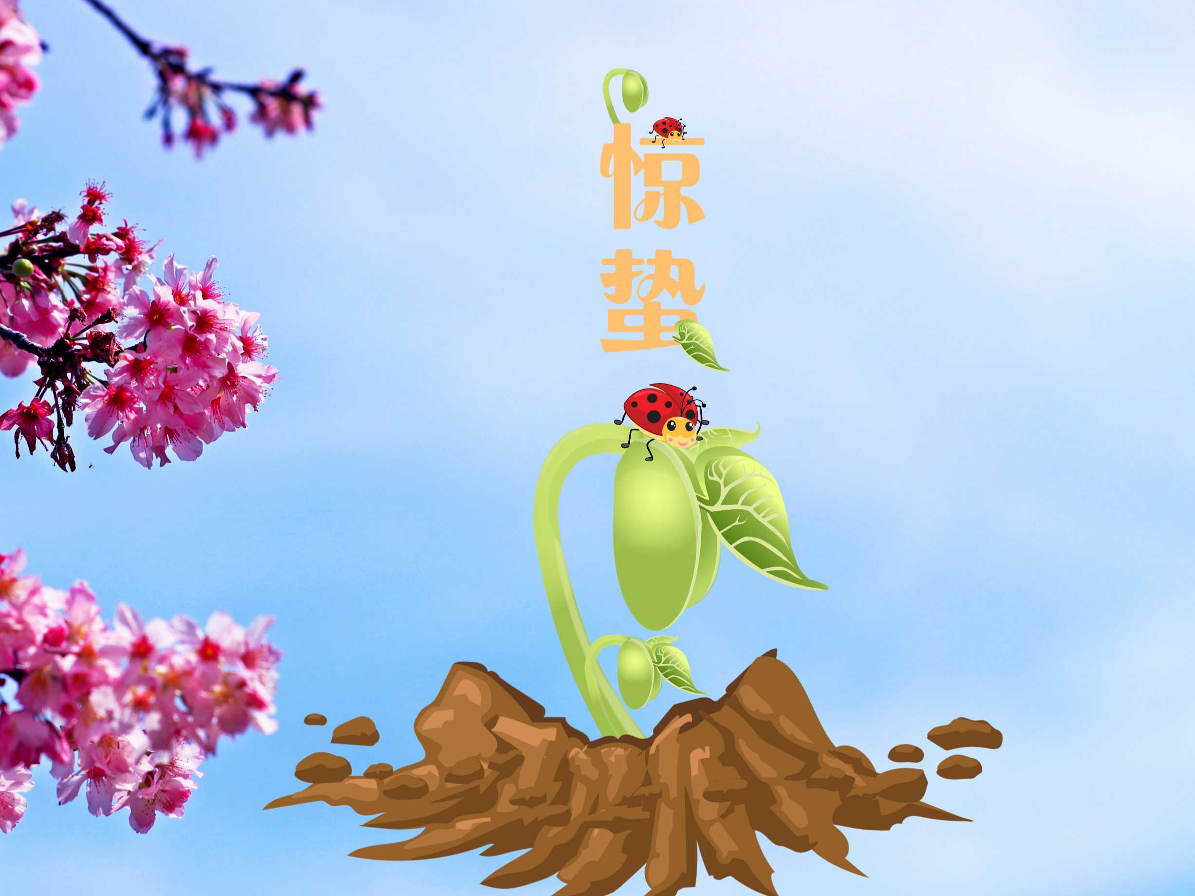 “善變”的驚蟄來(lái)了！防蟲(chóng)“十八般武藝”你Get了嗎？