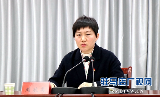 共青團(tuán)駐馬店市委三屆二次全委(擴(kuò)大)會(huì)議召開(kāi)