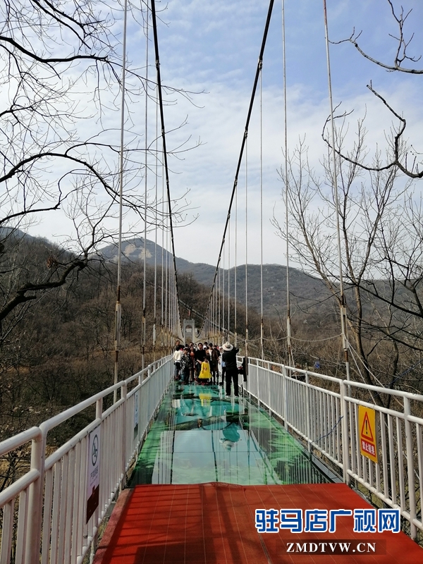  天氣轉暖 金頂山迎來春游小高峰