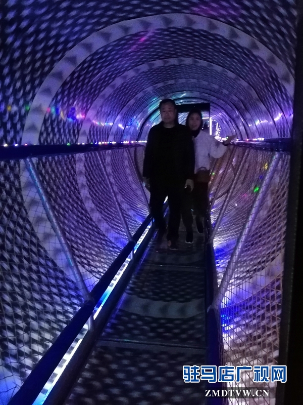  天氣轉暖 金頂山迎來春游小高峰