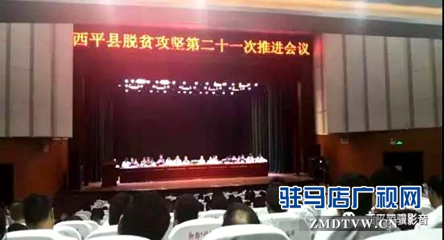 這樣的村干部誰不想要？——記西平“最美扶貧人”朱賓