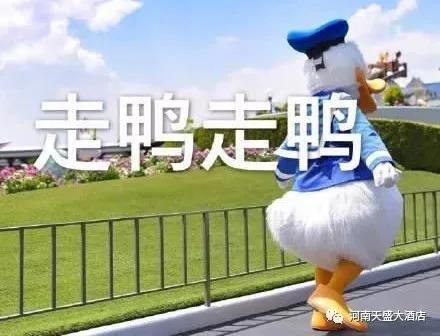 有才你就來，一大波崗位來襲！