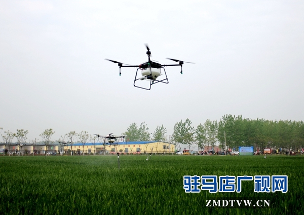 正陽縣對小麥重大病蟲害進(jìn)行統(tǒng)防統(tǒng)治